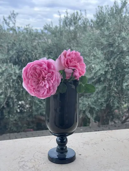 ואזה על רגל מקרמיקה - עבודת יד בצבע שחור וזהב