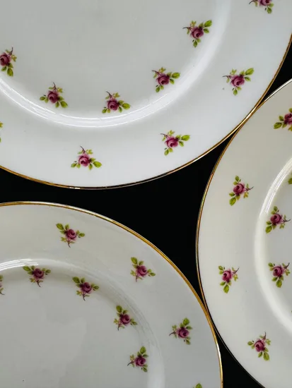 צלחת גדולה מפורצלן קוטר 26.5 ס"מ